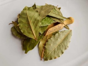 Liść laurowy /5g/