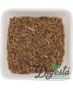 Kmin Rzymski ziarno 25 g